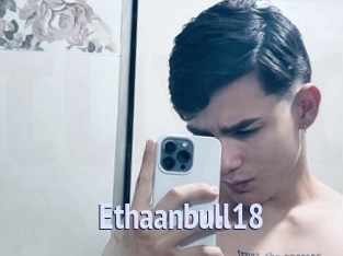 Ethaanbull18
