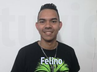 Felino
