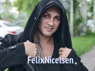 FelixNicelsen
