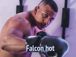 Falcon_hot