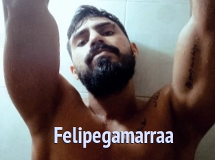 Felipegamarraa