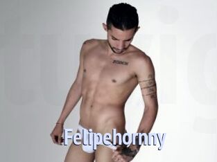 Felipehornny
