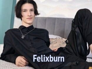 Felixburn