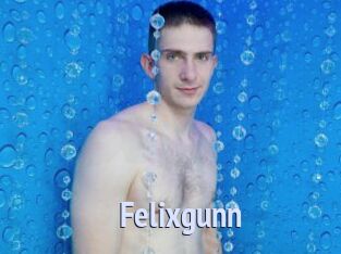 Felixgunn