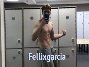 Fellixgarcia