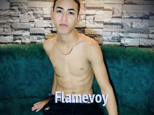 Flamevoy