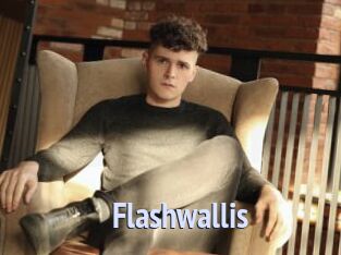 Flashwallis