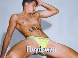 Floydswan