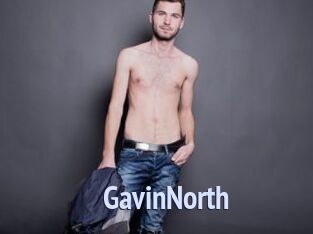 GavinNorth