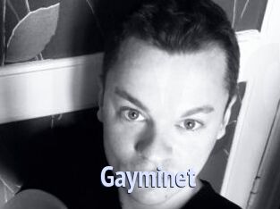 Gayminet