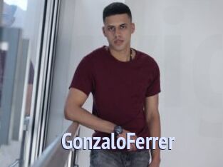 GonzaloFerrer