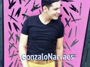 GonzaloNarvaes