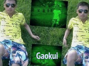 Gaokui