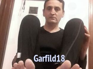 Garfild18