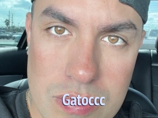 Gatoccc