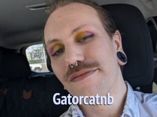 Gatorcatnb