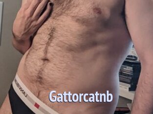 Gattorcatnb