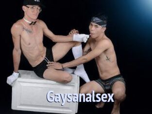 Gaysanalsex