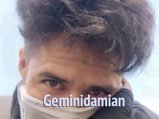 Geminidamian