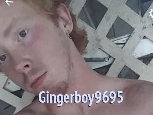 Gingerboy9695