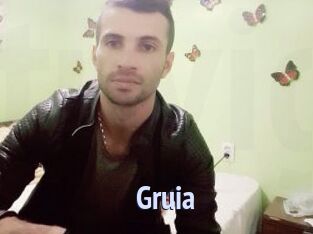 Gruia