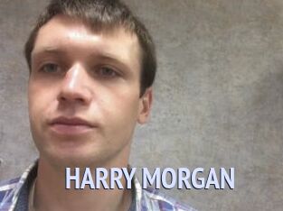HARRY_MORGAN