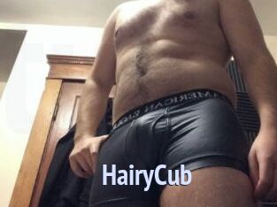 HairyCub