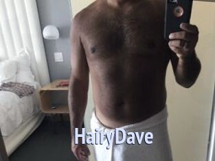 HairyDave Tube video gay