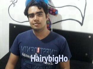 HairybigHo