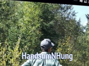 HandsumNHung