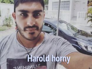 Harold_horny