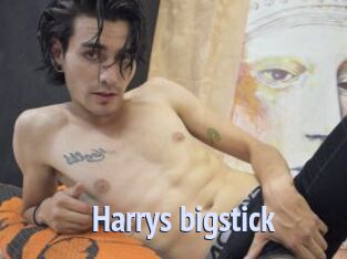 Harrys_bigstick