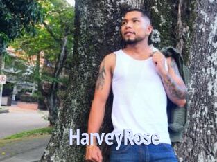 HarveyRose Tube video gay