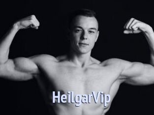HeilgarVip
