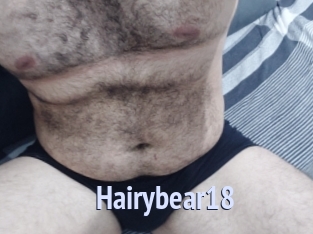 Hairybear18