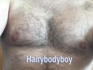 Hairybodyboy