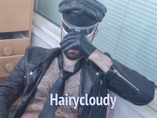 Hairycloudy