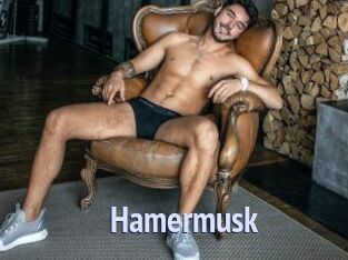 Hamermusk