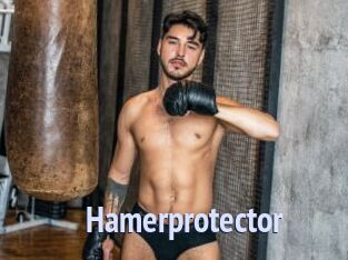 Hamerprotector
