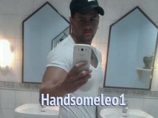 Handsomeleo1