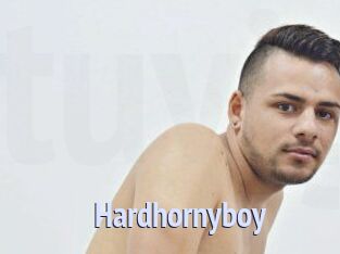 hardhornyboy Tube video gay