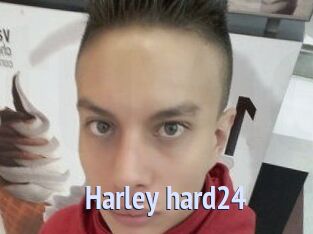 Harley_hard24