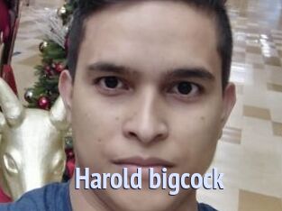 Harold_bigcock