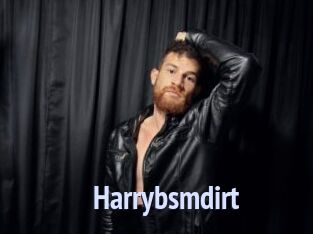 Harrybsmdirt