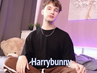 Harrybunny