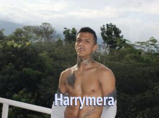 Harrymera