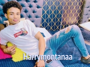 Harrymontanaa