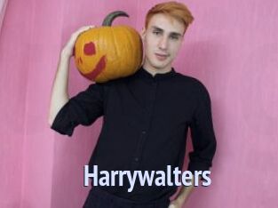Harrywalters