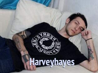 harveyhayes Tube video gay