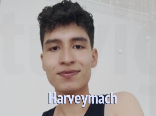 harveymach Tube video gay